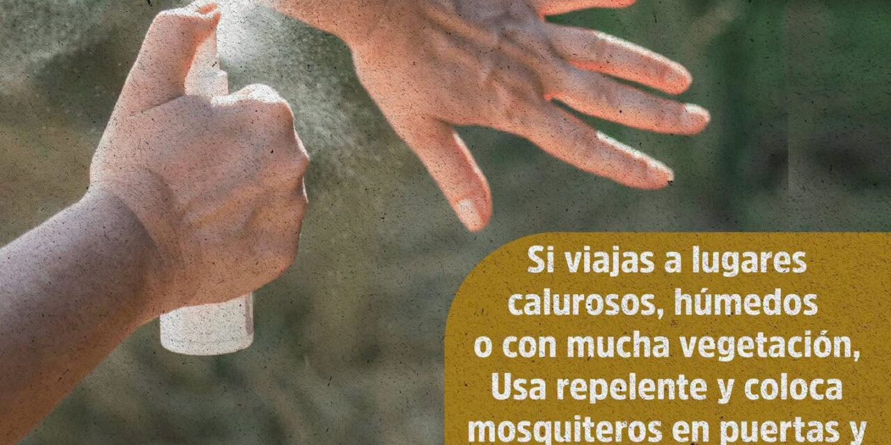 ¡PREVIENE EL DENGUE DESDE CASA!