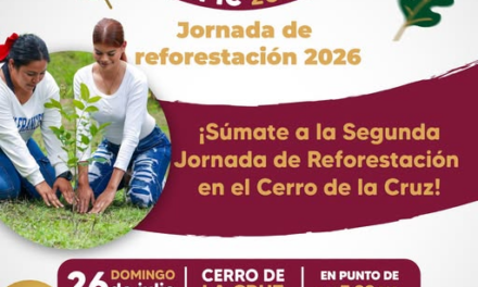 Súmate a la Segunda Jornada de Reforestación Tepic 2026