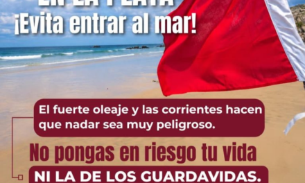 Si ves una bandera roja en la playa, no entres al mar.