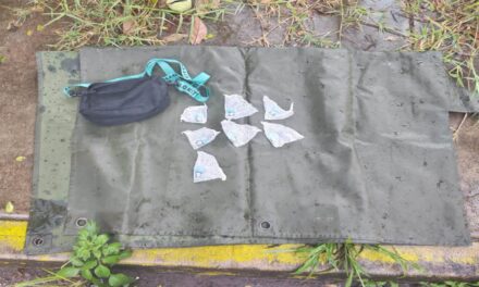 SEGURIDAD Y ATENCIÓN TERRITORIAL PARA LAS FAMILIAS DE NAYARIT