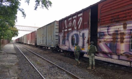 ¡OPERATIVOS EN NAYARIT ASEGURAN ARMAS, EXPLOSIVOS Y CÁMARAS IRREGULARES!