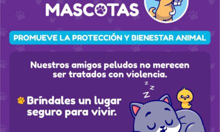 ¡ALTO AL MALTRATO ANIMAL! PROTEGER Y RESPETAR ES RESPONSABILIDAD DE TODOS