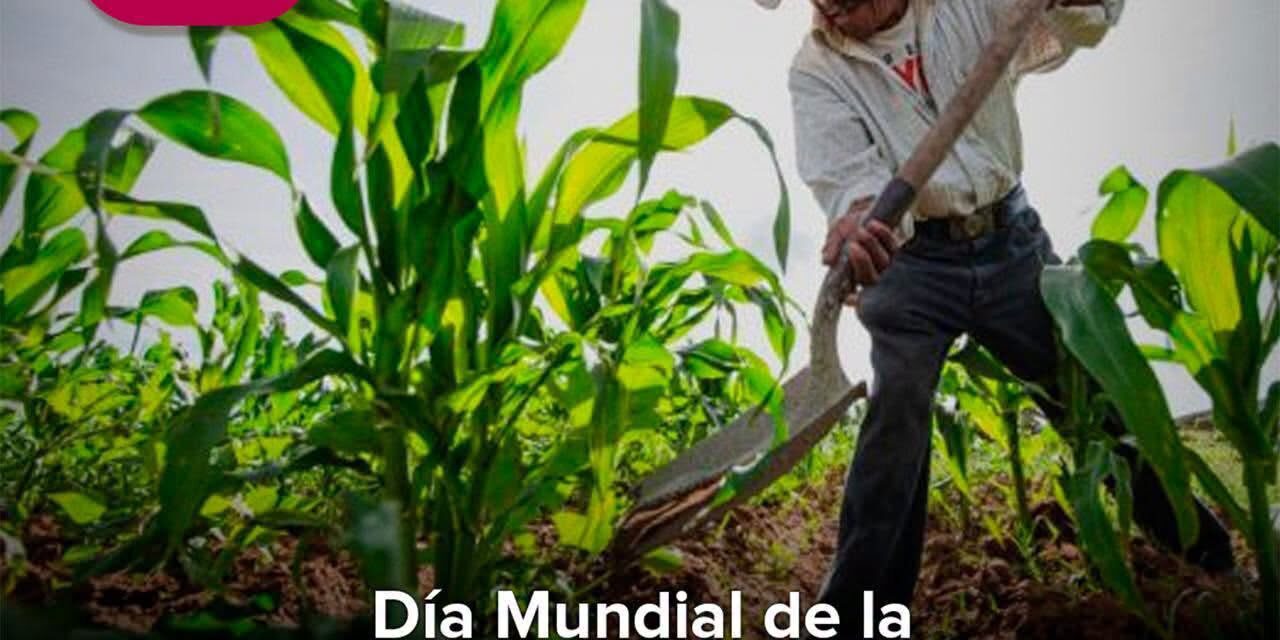 ¡EL CAMPO ES FUERZA Y DESARROLLO PARA NAYARIT!