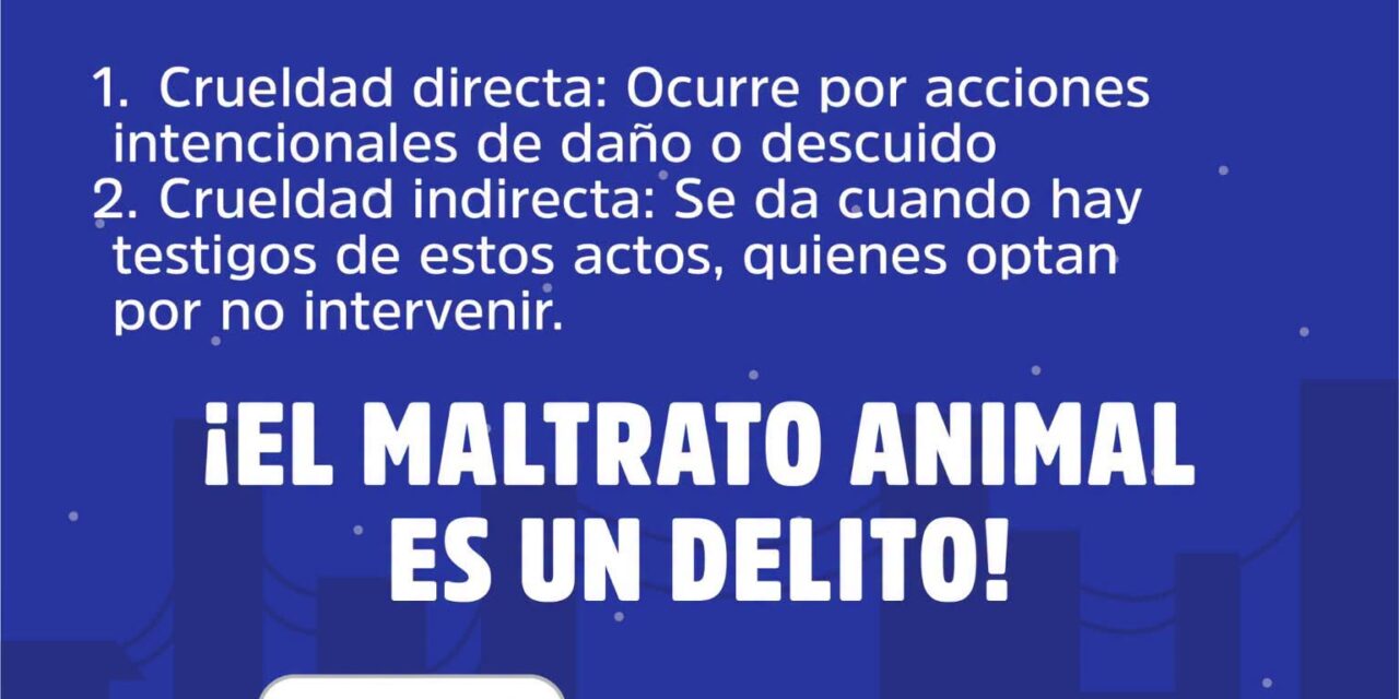 ¡ALTO AL MALTRATO ANIMAL! ¡DENUNCIA Y PROTEGE!
