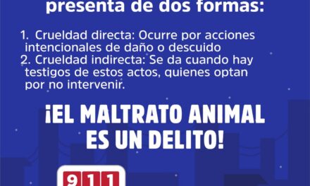 ¡ALTO AL MALTRATO ANIMAL! ¡DENUNCIA Y PROTEGE!