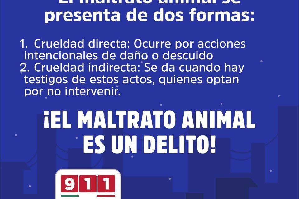¡ALTO AL MALTRATO ANIMAL, PROTEGER ES RESPONSABILIDAD DE TODOS!