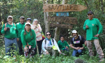 ¡NAYARIT DESCUBRE LA RUTA DE LAS GUACAMAYAS!