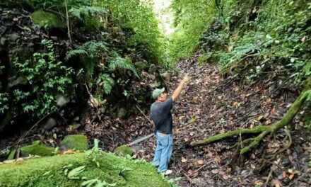 ¡NAYARIT DESCUBRE NUEVAS EXPERIENCIAS TURÍSTICAS!