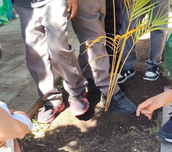 COFONAY PROMUEVE LA CULTURA FORESTAL ENTRE NIÑAS Y NIÑOS