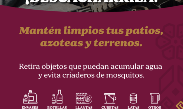 DESCACHARRIZACION