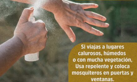 ¡CUIDADO CON EL DENGUE! EVITA CRIADEROS EN CASA