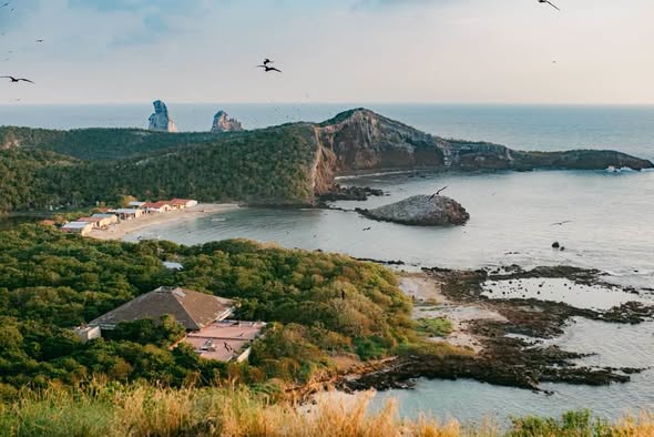 ¡NAYARIT ABRE SUS PUERTAS A INVERSIONISTAS DE MÁS DE 10 PAÍSES!