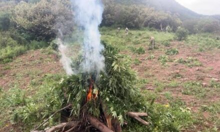 ¡NAYARIT MANTIENE VIGILANCIA Y ACCIONES PREVENTIVAS ANTE SIMON!