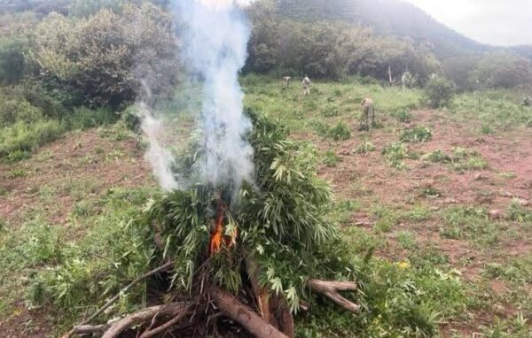 ¡NAYARIT MANTIENE VIGILANCIA Y ACCIONES PREVENTIVAS ANTE SIMON!
