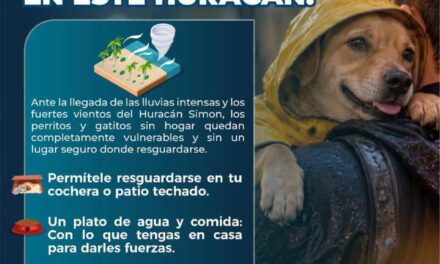 ¡ELLOS TAMBIÉN NECESITAN REFUGIO ANTE EL HURACÁN SIMON!