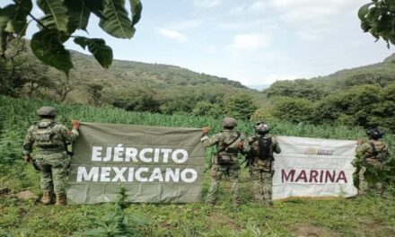 ¡REFUERZAN LA VIGILANCIA Y SEGURIDAD EN NAYARIT!