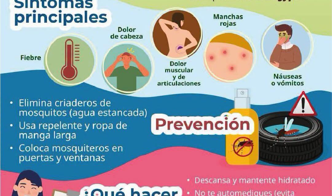 ¡ELIMINA CRIADEROS Y PROTEGE A TU FAMILIA!