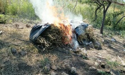 NAYARIT REFUERZA PREVENCIÓN Y SEGURIDAD ANTE EL HURACÁN SIMON
