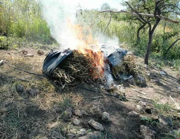 NAYARIT REFUERZA PREVENCIÓN Y SEGURIDAD ANTE EL HURACÁN SIMON